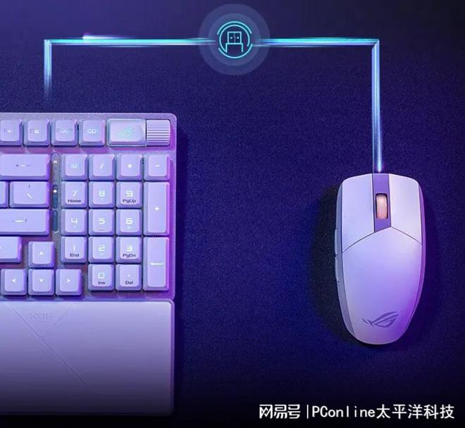 年度大盘点这些键盘闭眼买就对了pg模拟器电脑版2024外设(图4)